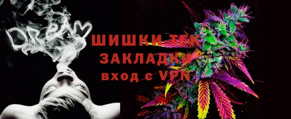 винт Новозыбков
