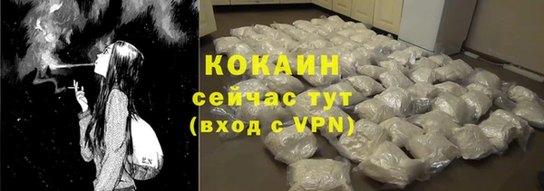 винт Новозыбков