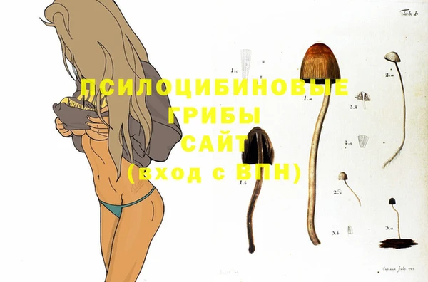 винт Новозыбков