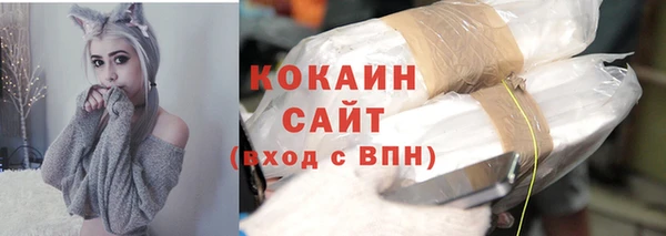 винт Новозыбков