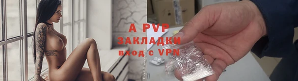 винт Новозыбков