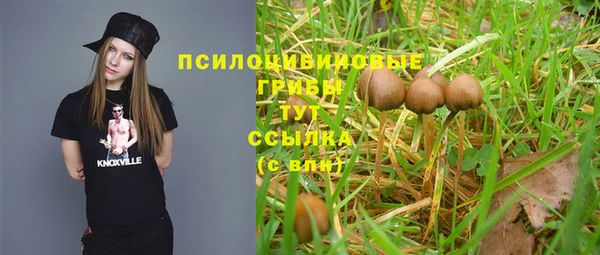 гашиш Новокубанск