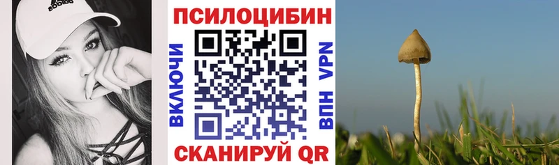 ОМГ ОМГ   где продают наркотики  Димитровград  Псилоцибиновые грибы мицелий 