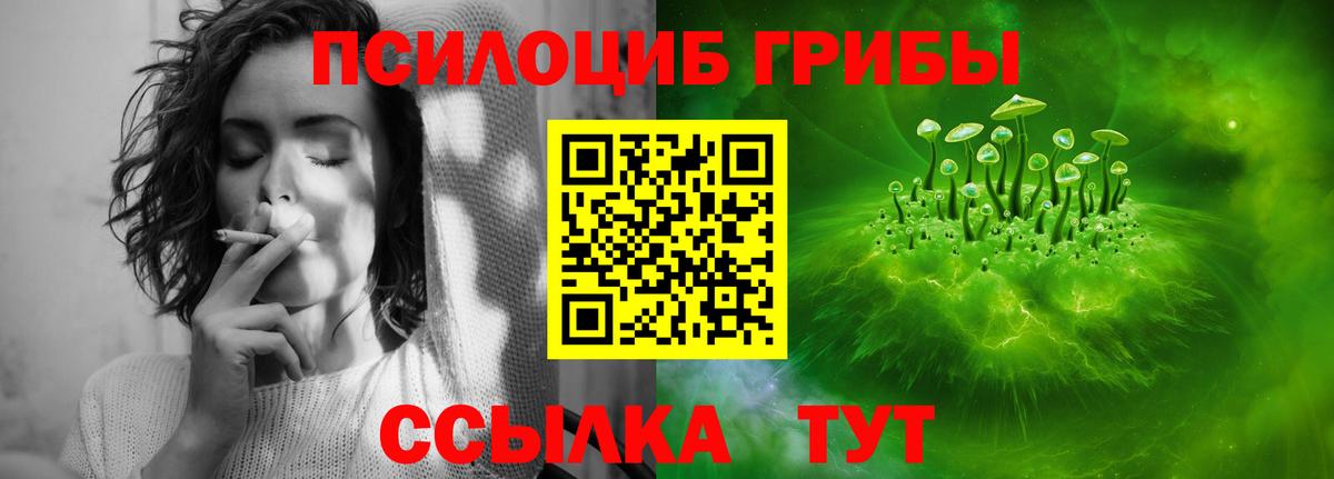 Псилоцибиновые грибы Psilocybine cubensis Димитровград