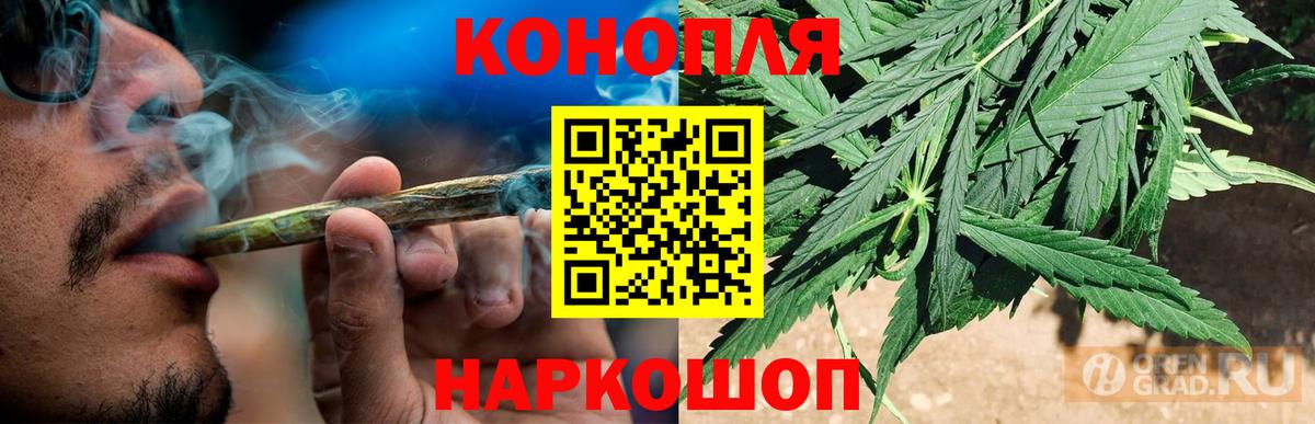 Бошки марихуана конопля Димитровград